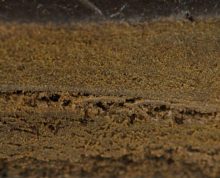 AAAA carmello black hash thc content 40%